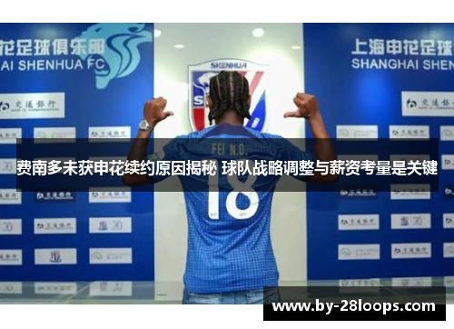 费南多未获申花续约原因揭秘 球队战略调整与薪资考量是关键 费南多未获申花续约原因揭秘 球队战略调整与薪资考量是关键