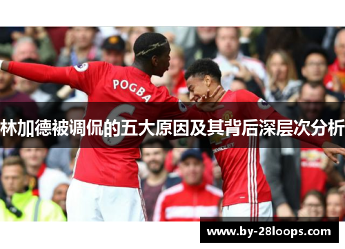 林加德被调侃的五大原因及其背后深层次分析 林加德被调侃的五大原因及其背后深层次分析