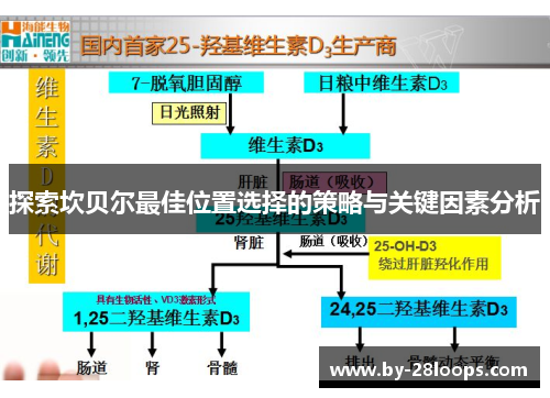 探索坎贝尔最佳位置选择的策略与关键因素分析 探索坎贝尔最佳位置选择的策略与关键因素分析